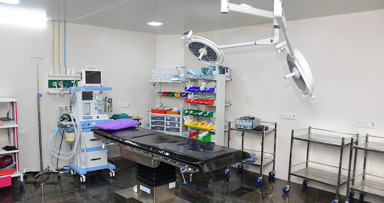 Brain neurology model