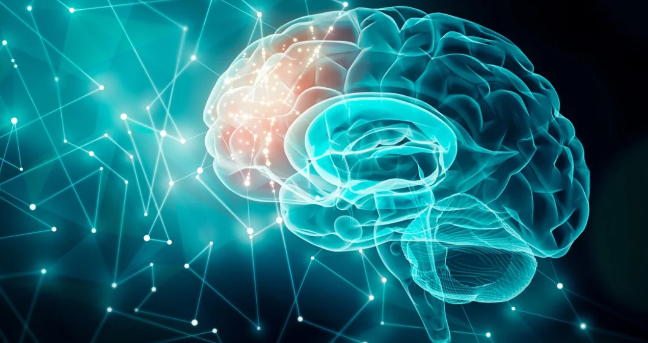 Psychiatry brain illustration