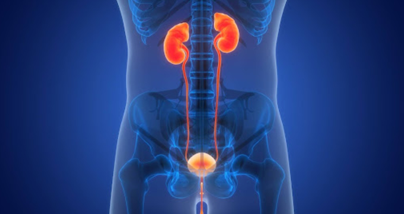 Urologist consulting patient at urology hospital in Ayapakkam