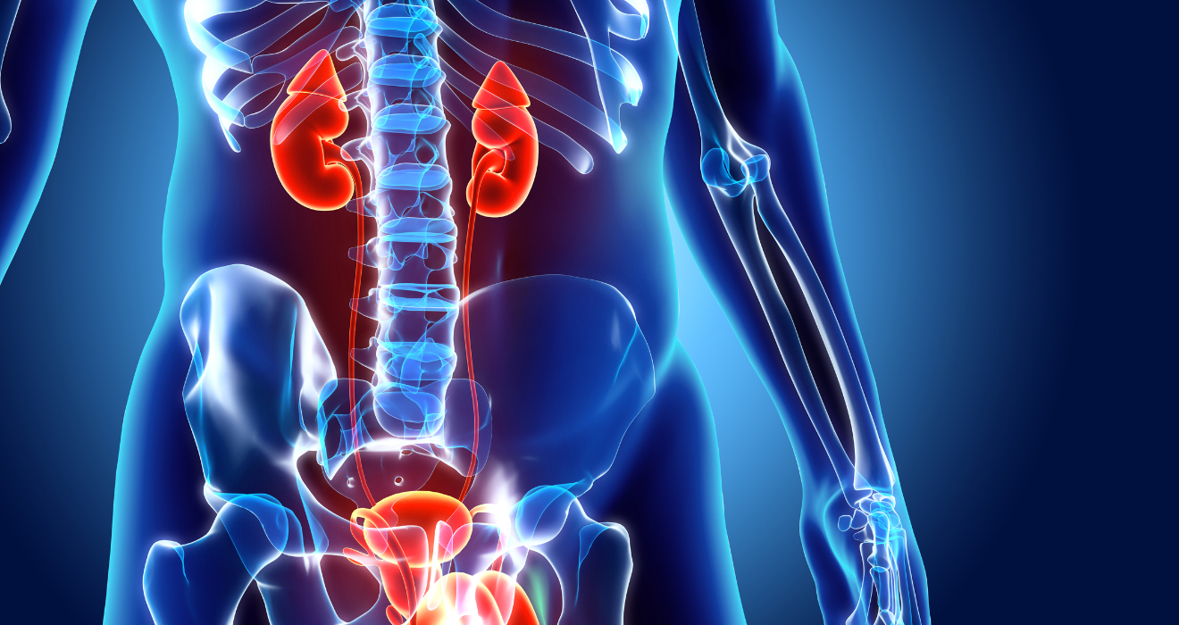 Kidney stone diagnosis using ultrasound at Sri Ambal Health Care
